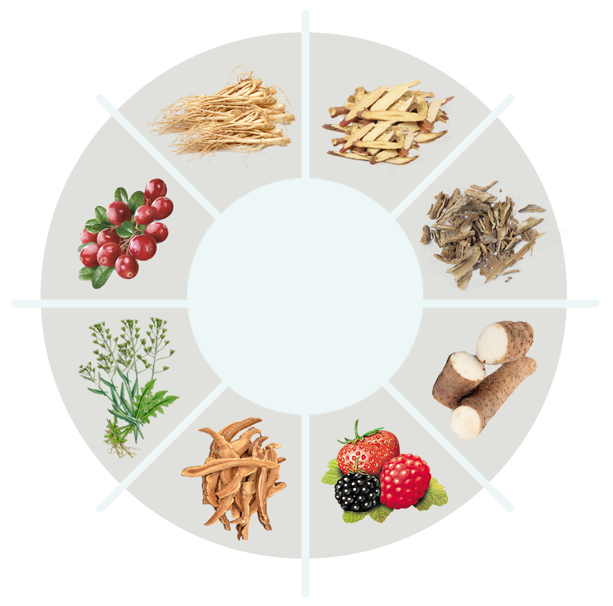 Focuson ingredient circle with product