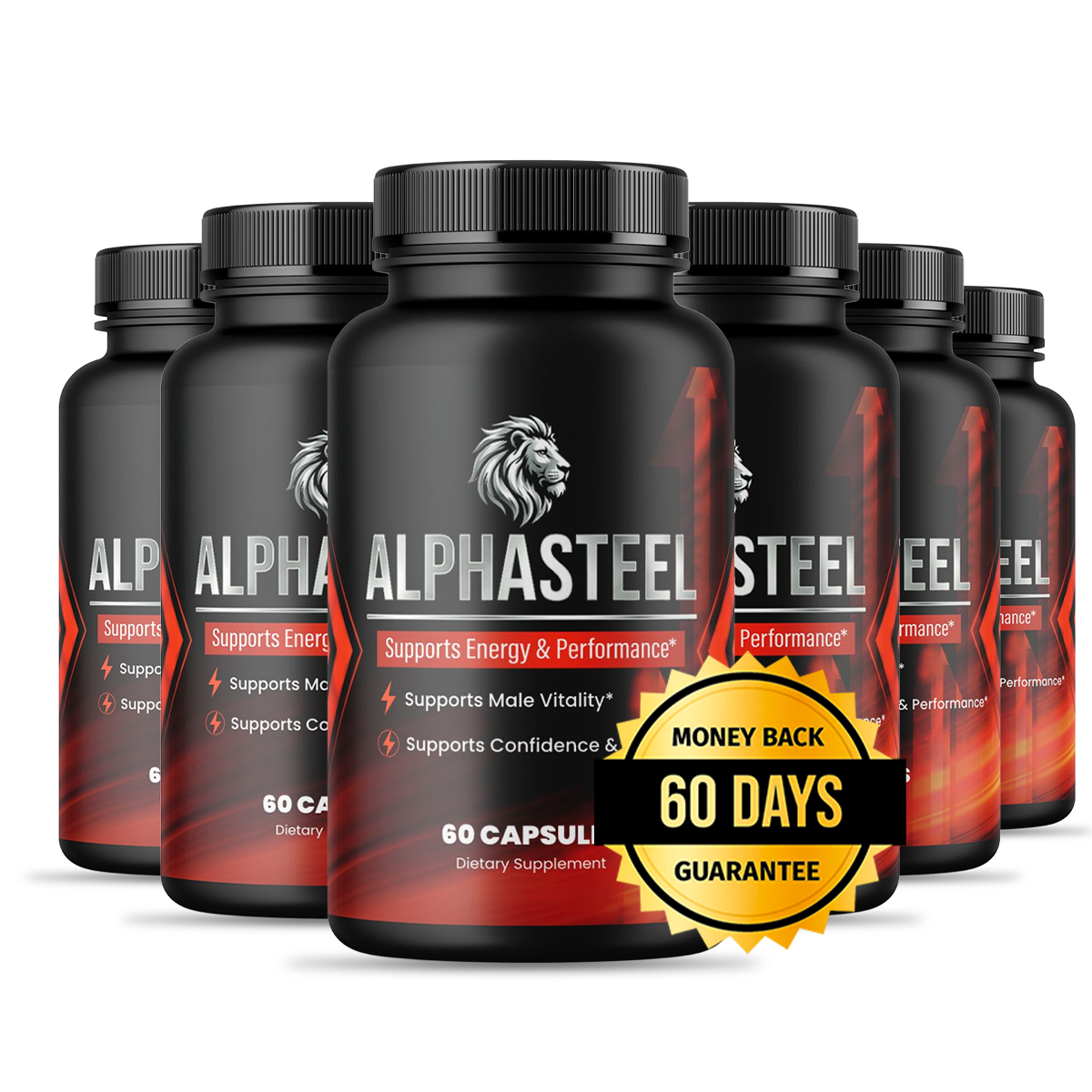 AlphaSteel six-bottle package